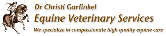 Contact dr garfinkel