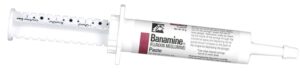 Banamine Paste Equine - Image 2