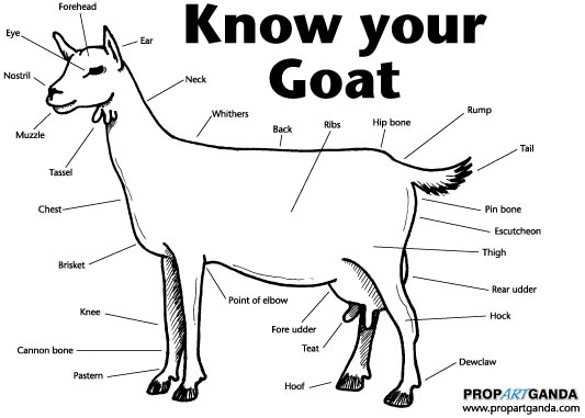 know your goat