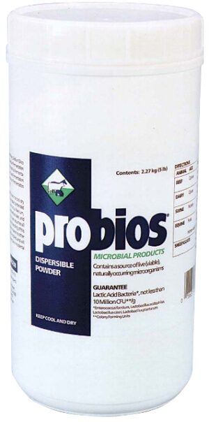 Equine Probios Powder 5lbs