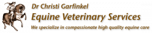 drgarfinkel logo